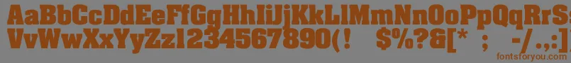 JohnnyBold-fontti – ruskeat fontit harmaalla taustalla