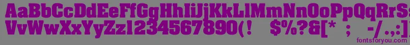 Шрифт JohnnyBold – фиолетовые шрифты на сером фоне