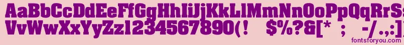 JohnnyBold Font – Purple Fonts on Pink Background