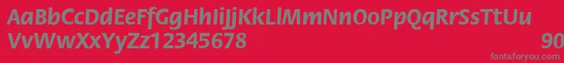 FloraBold Font – Gray Fonts on Red Background
