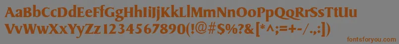 フォントSydneyBold – 茶色の文字が灰色の背景にあります。