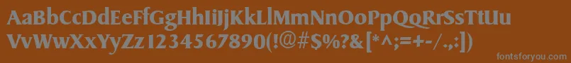 Шрифт SydneyBold – серые шрифты на коричневом фоне