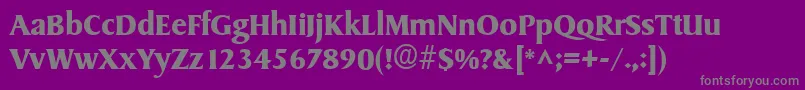 SydneyBold-Schriftart – Graue Schriften auf violettem Hintergrund