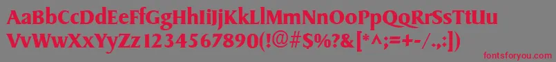 SydneyBold Font – Red Fonts on Gray Background