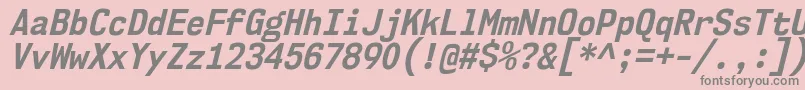 Nk57MonospaceScBdIt Font – Gray Fonts on Pink Background