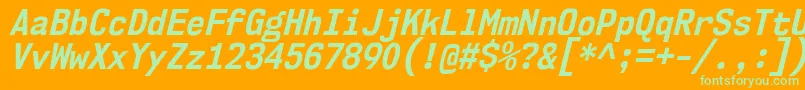 Nk57MonospaceScBdIt Font – Green Fonts on Orange Background