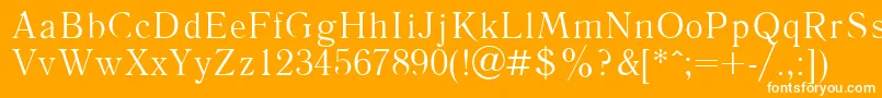 フォントLiteraturnayaPlain.001.001 – オレンジの背景に白い文字