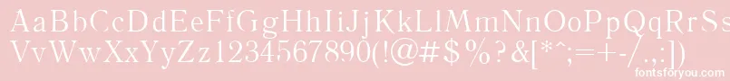 LiteraturnayaPlain.001.001 Font – White Fonts on Pink Background
