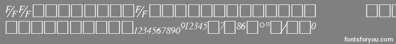 TmsfbItalic Font – White Fonts on Gray Background