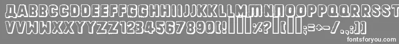 Dinarjevrepublika Font – White Fonts on Gray Background