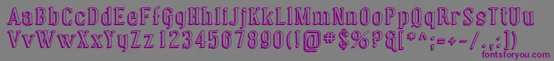 Шрифт Sfcovingtonshadow – фиолетовые шрифты на сером фоне
