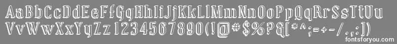 Sfcovingtonshadow Font – White Fonts on Gray Background