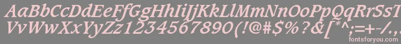 CaxtonLtBoldItalic Font – Pink Fonts on Gray Background