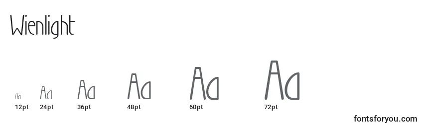 Wienlight Font Sizes