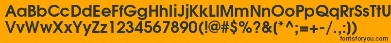 TexgyreadventorBold Font – Black Fonts on Orange Background