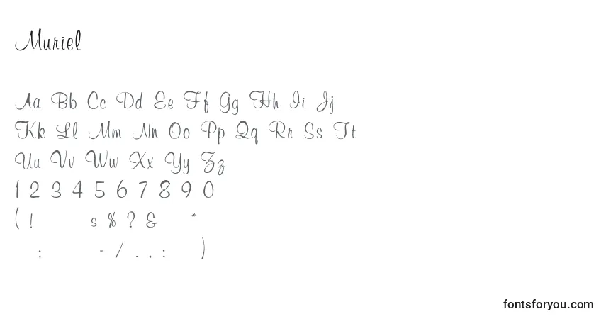 A fonte Muriel – alfabeto, números, caracteres especiais