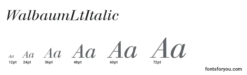 Размеры шрифта WalbaumLtItalic