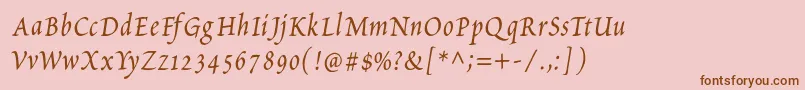 PetitscriptItalic Font – Brown Fonts on Pink Background