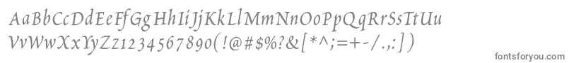PetitscriptItalic Font – Gray Fonts on White Background