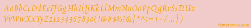 PetitscriptItalic Font – Orange Fonts on Pink Background