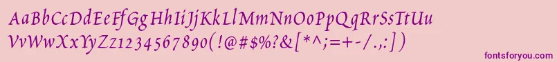 PetitscriptItalic Font – Purple Fonts on Pink Background