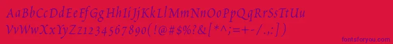 PetitscriptItalic Font – Purple Fonts on Red Background