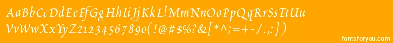 PetitscriptItalic Font – White Fonts on Orange Background