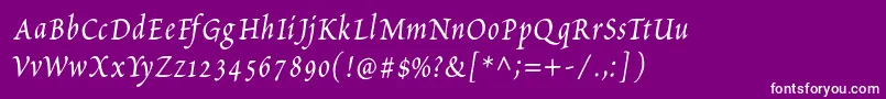 PetitscriptItalic-Schriftart – Weiße Schriften auf violettem Hintergrund