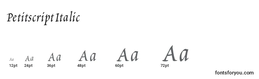 Размеры шрифта PetitscriptItalic