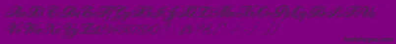 AristocratLetPlain.1.0 Font – Black Fonts on Purple Background