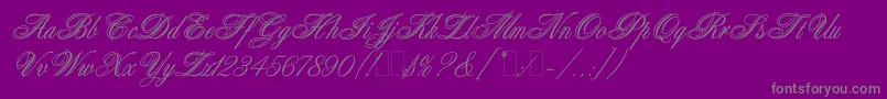 AristocratLetPlain.1.0 Font – Gray Fonts on Purple Background