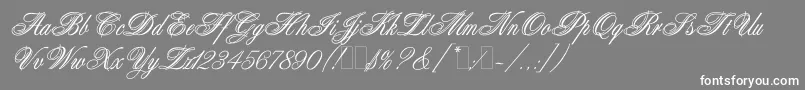 フォントAristocratLetPlain.1.0 – 灰色の背景に白い文字