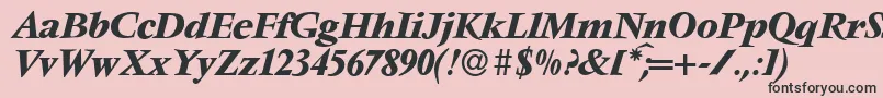 V691RomanBolditalic Font – Black Fonts on Pink Background