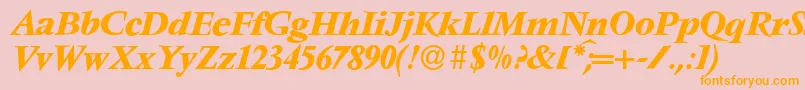 V691RomanBolditalic Font – Orange Fonts on Pink Background