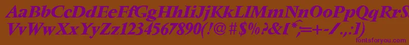 V691RomanBolditalic Font – Purple Fonts on Brown Background