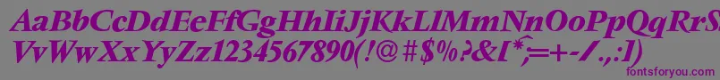 V691RomanBolditalic Font – Purple Fonts on Gray Background