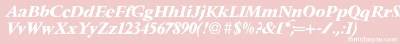 V691RomanBolditalic Font – White Fonts on Pink Background