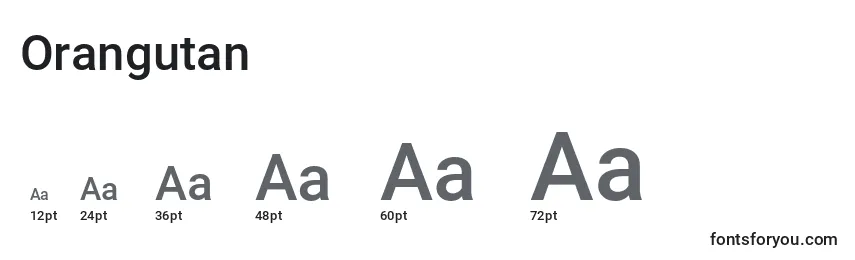 Размеры шрифта Orangutan