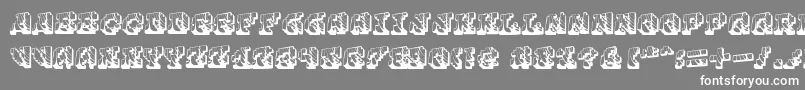 Cauterise Font – White Fonts on Gray Background