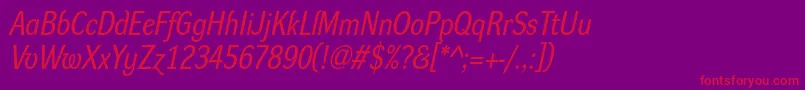 DynagroteskrmItalic Font – Red Fonts on Purple Background