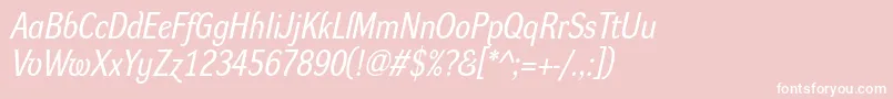 DynagroteskrmItalic Font – White Fonts on Pink Background