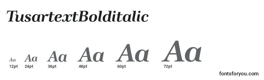 Размеры шрифта TusartextBolditalic