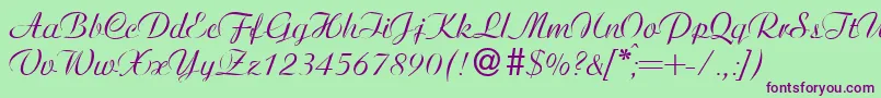 AristonNormal Font – Purple Fonts on Green Background