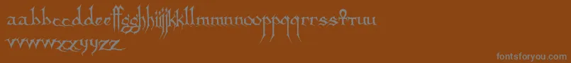 Sanctuary-fontti – harmaat kirjasimet ruskealla taustalla