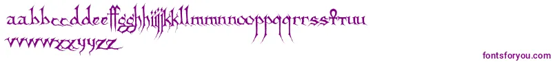 Sanctuary-fontti – violetit fontit valkoisella taustalla