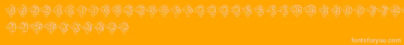 Aristokratzierbuchstaben Font – Pink Fonts on Orange Background