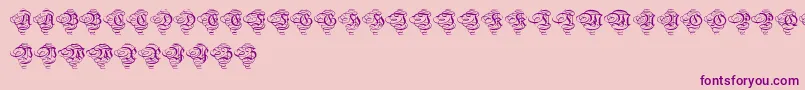 Aristokratzierbuchstaben Font – Purple Fonts on Pink Background