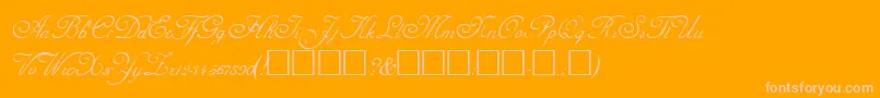 AdinekirnbergRegular Font – Pink Fonts on Orange Background