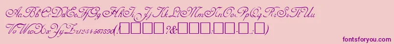 AdinekirnbergRegular-Schriftart – Violette Schriften auf rosa Hintergrund