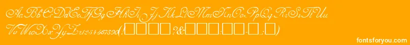 AdinekirnbergRegular Font – White Fonts on Orange Background